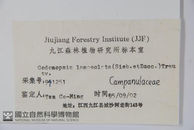 羊乳、四葉參藏品圖，第2張