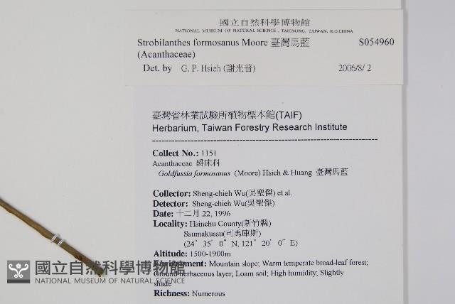 臺灣馬藍藏品圖，第2張