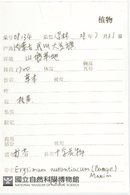 糖芥藏品圖，第2張