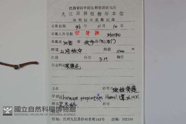 高山莢迷藏品圖，第2張