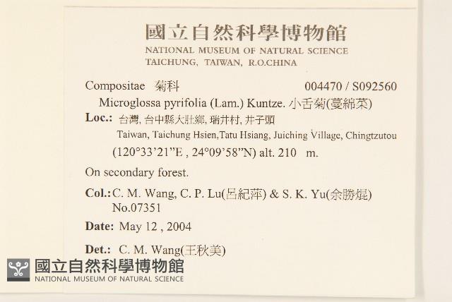 小舌菊、蔓綿菜藏品圖，第2張