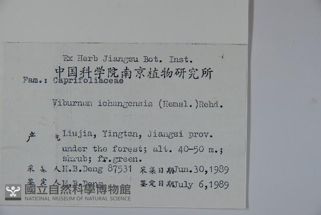 宜昌莢迷藏品圖，第2張