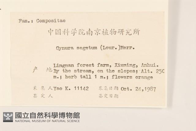 三七草藏品圖，第2張