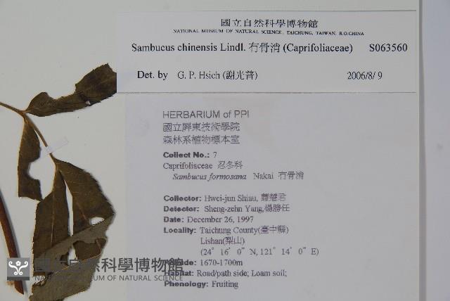 冇骨消藏品圖，第2張