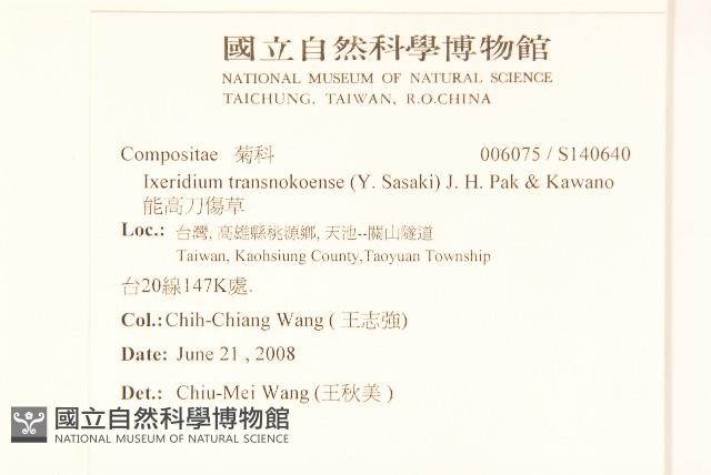 能高刀傷草藏品圖，第2張