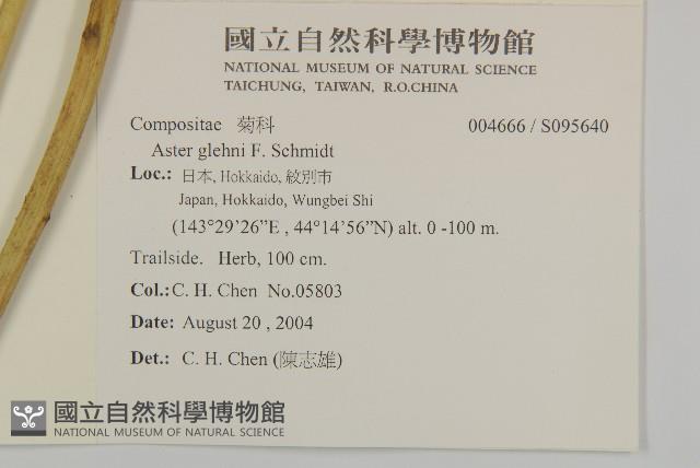 登錄號:S095640藏品圖，第2張