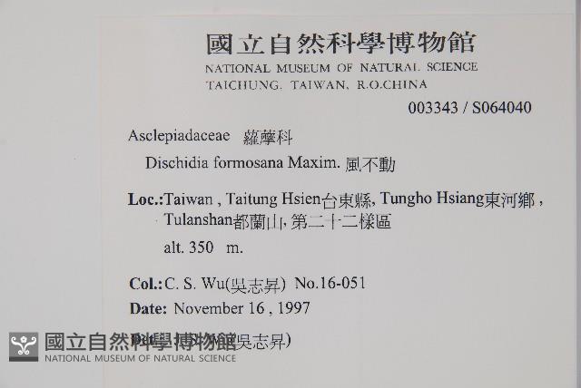 風不動藏品圖，第2張