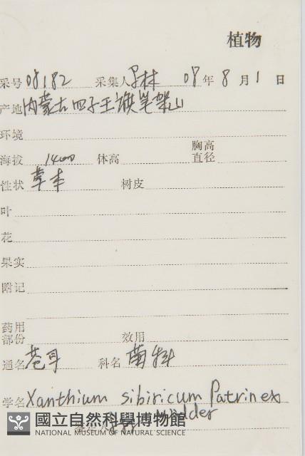 蒼耳藏品圖，第2張