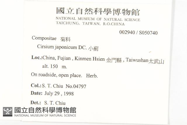 小薊藏品圖，第2張