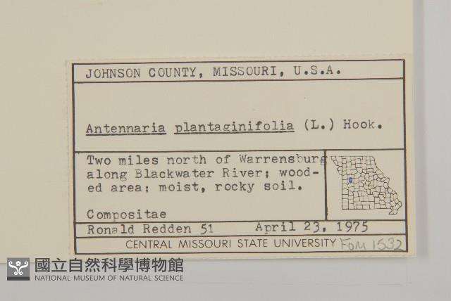 登錄號:S080740藏品圖，第2張