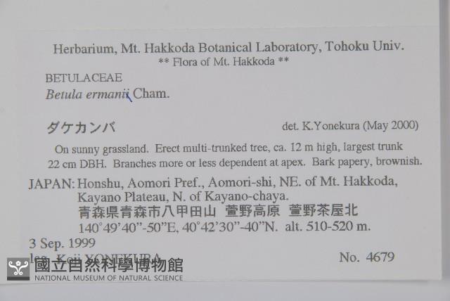 岳樺藏品圖，第2張