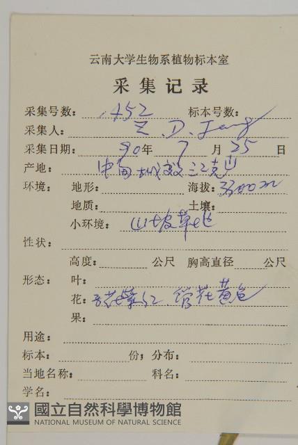 石生紫菀藏品圖，第2張