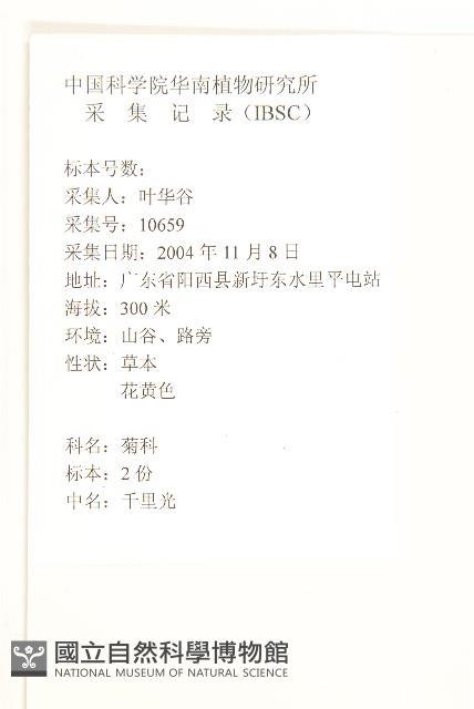 蔓黃菀藏品圖，第2張