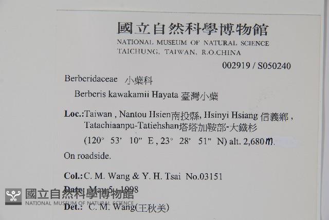 臺灣小蘗藏品圖，第2張