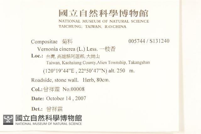 一枝香藏品圖，第2張