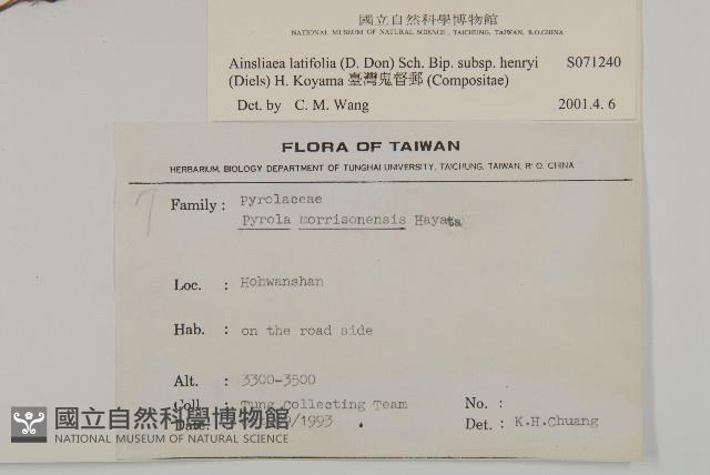 臺灣鬼督郵藏品圖，第2張