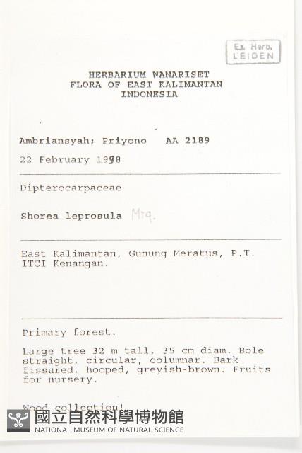 Accession Number:S055240 Collection Image, Figure 2, Total 2 Figures