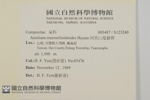 阿里山鬼督郵藏品圖，第2張