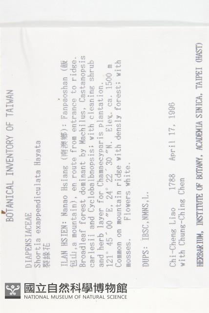 裂緣花藏品圖，第2張