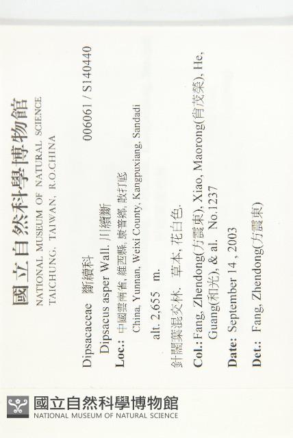 川續斷藏品圖，第2張