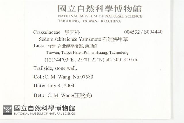 石碇佛甲草藏品圖，第2張