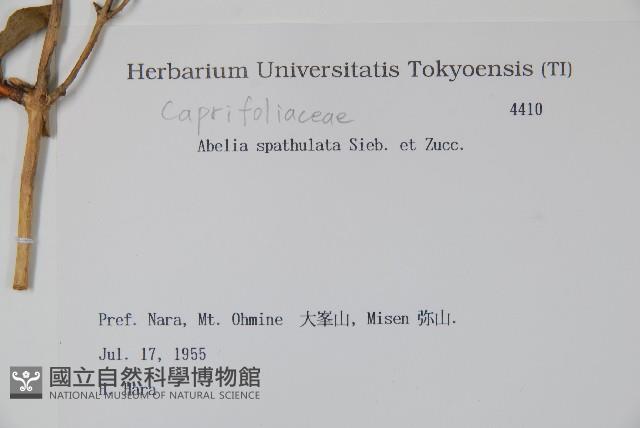 登錄號:S082140藏品圖，第2張