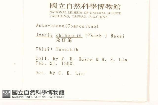 兔仔菜藏品圖，第2張