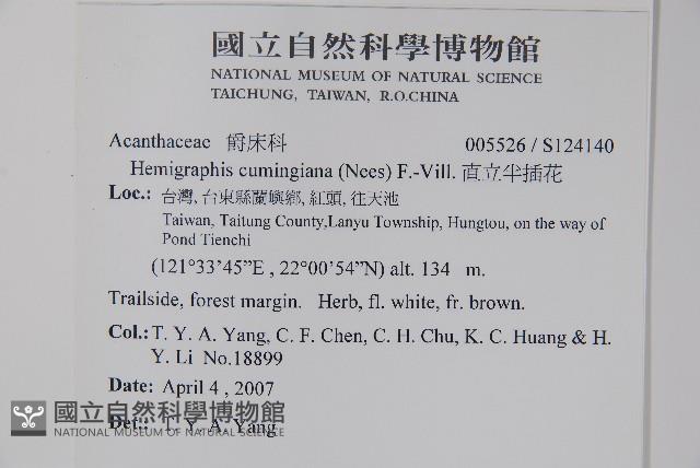 直立半插花藏品圖，第2張