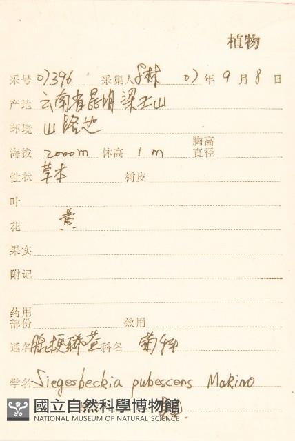 腺梗豨薟藏品圖，第2張