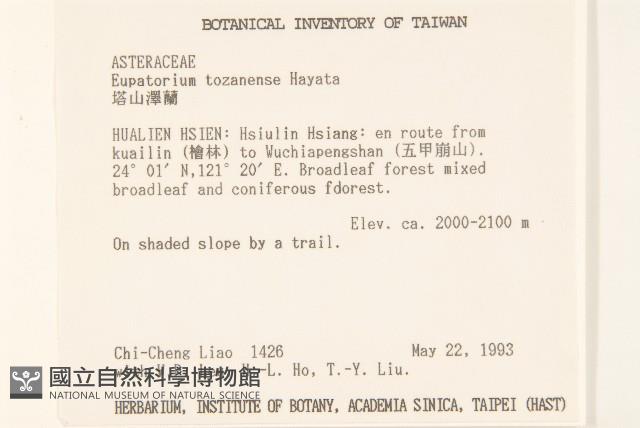 塔山澤蘭藏品圖，第2張