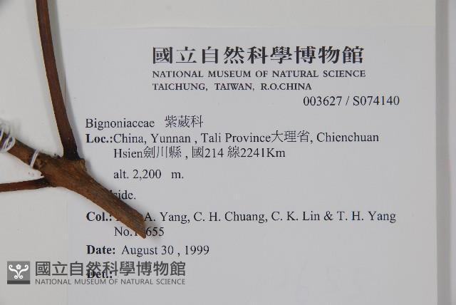 登錄號:S074140藏品圖，第2張