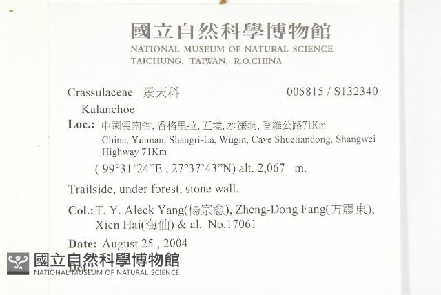 登錄號:S132340藏品圖，第2張