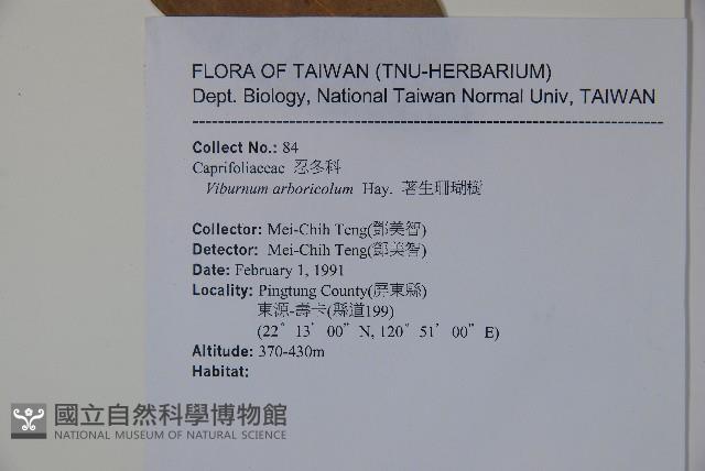 著生珊瑚樹藏品圖，第2張