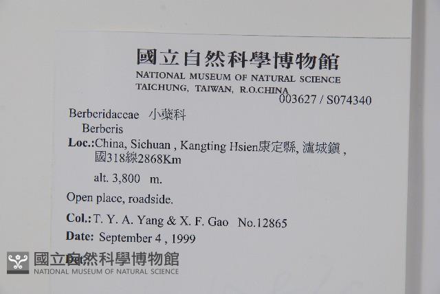 川西小檗藏品圖，第2張