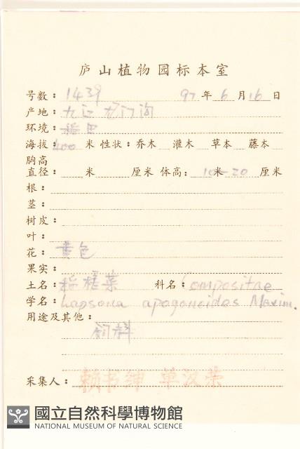 稻槎菜藏品圖，第2張