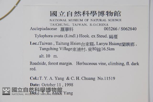 鷗蔓藏品圖，第2張