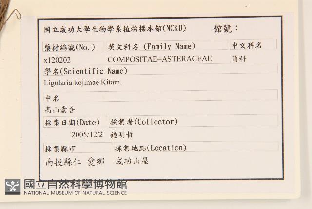 高山橐吾藏品圖，第2張