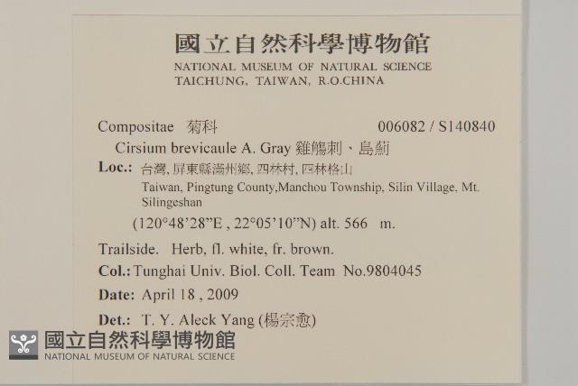 雞觴刺、島薊藏品圖，第2張