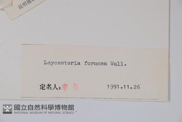 鬼吹簫藏品圖，第2張