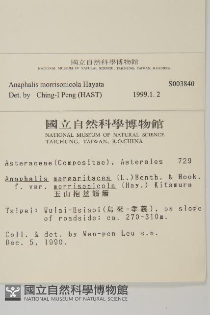 玉山抱莖籟簫藏品圖，第2張