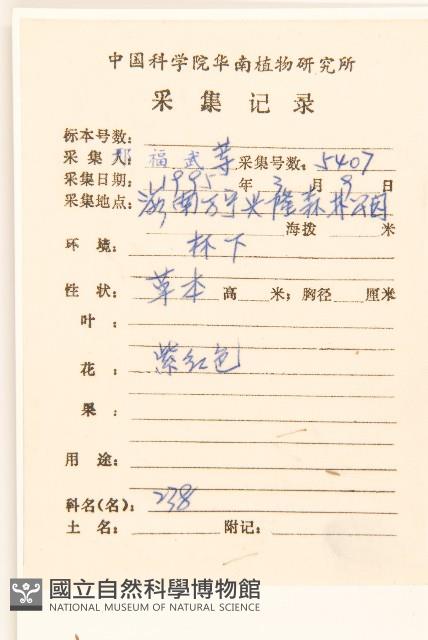 飛機草藏品圖，第2張