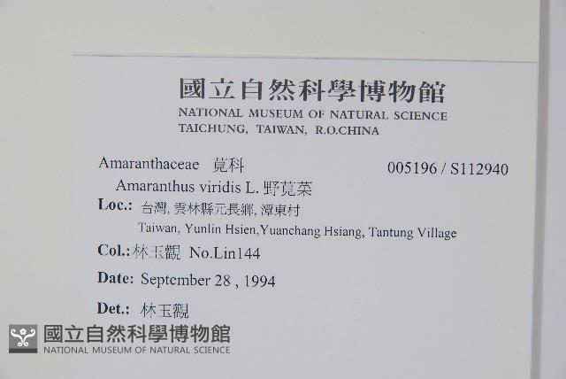 野莧菜藏品圖，第2張