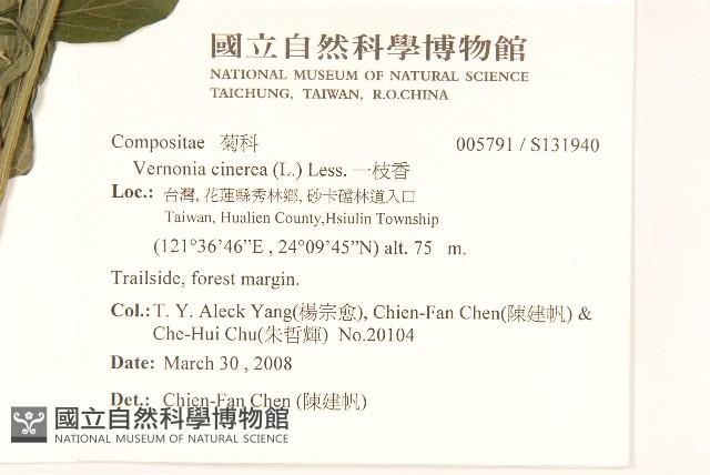 一枝香藏品圖，第2張