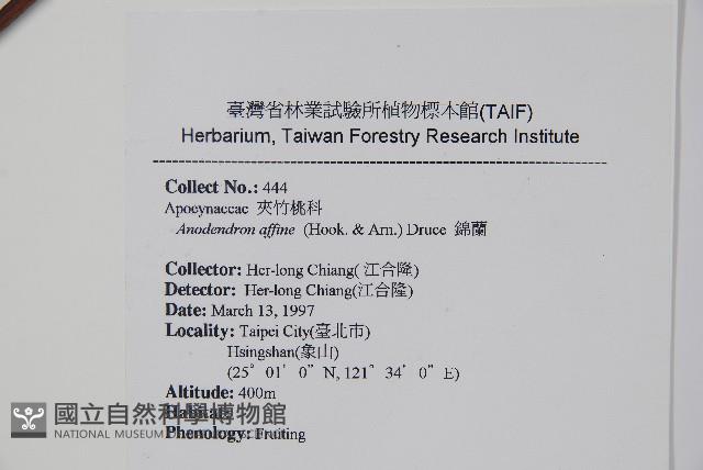 小錦蘭藏品圖，第2張