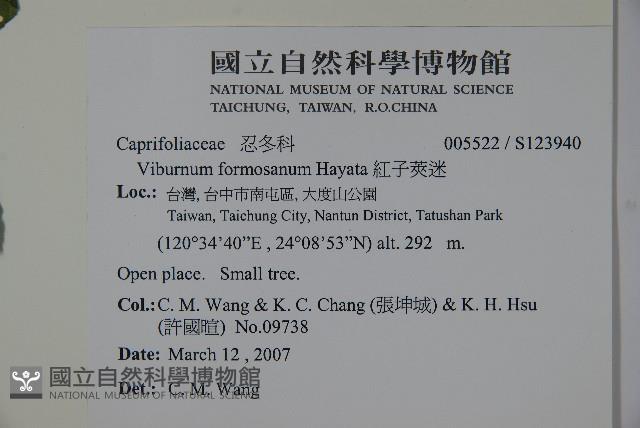 紅子莢迷藏品圖，第2張