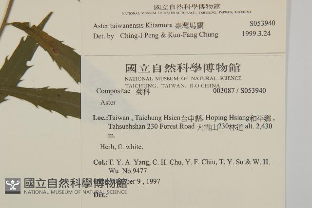 臺灣馬蘭藏品圖，第2張