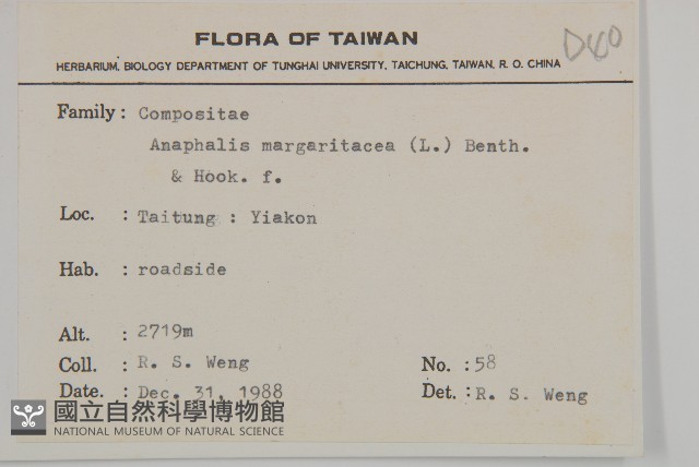 抱莖籟簫藏品圖，第2張
