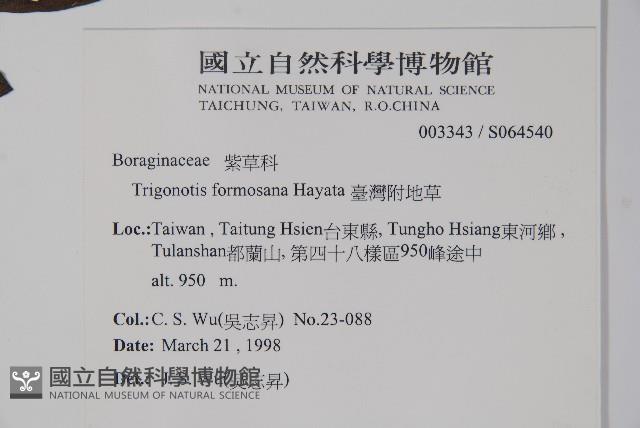 臺灣附地草藏品圖，第2張