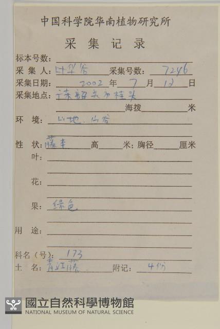 南華南蛇藤，青江藤藏品圖，第2張