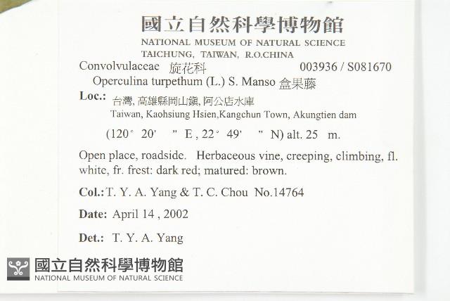 盒果藤藏品圖，第2張